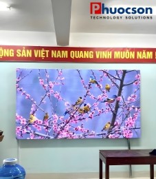 Màn Hình LED P2.5 - Trường mầm non Huế